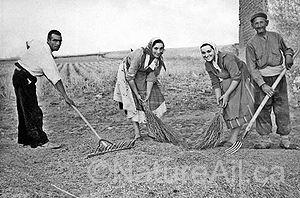 Des irréductibles de la réforme grégaire en espagne (1955)