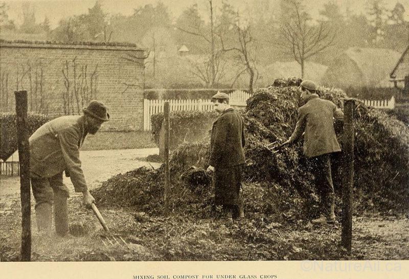 The Book of Market Gardening - R. Lewis Castle (1906)