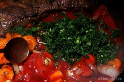 Boeuf Braisé à l'Ail et Sauce Tomate 4