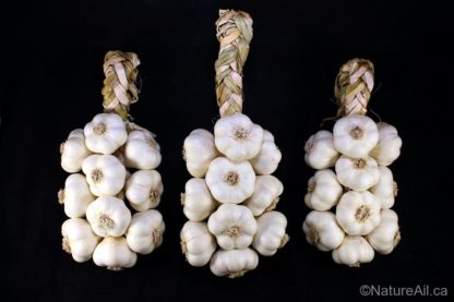 Ail du Québec Garlic - Tresse d'Ail Italian Garlic Braid